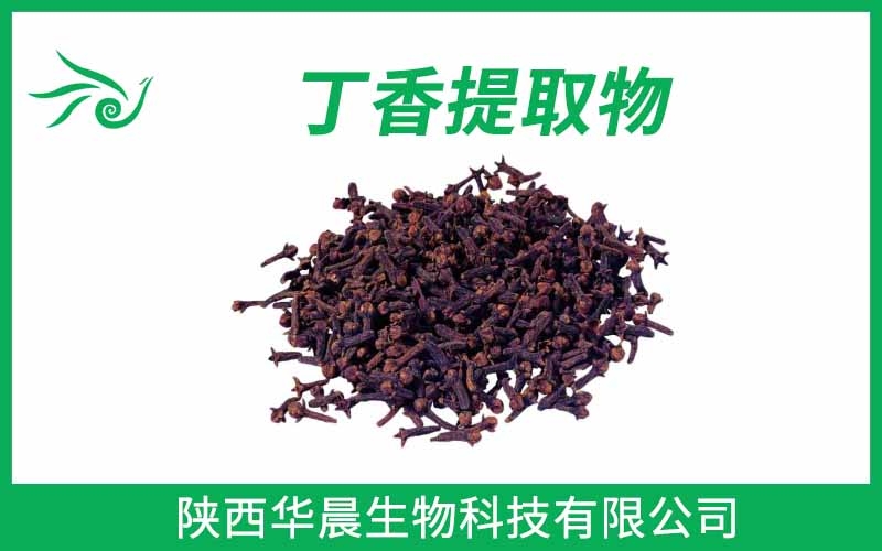 丁香提取物、母丁香提取物、公丁香提取物