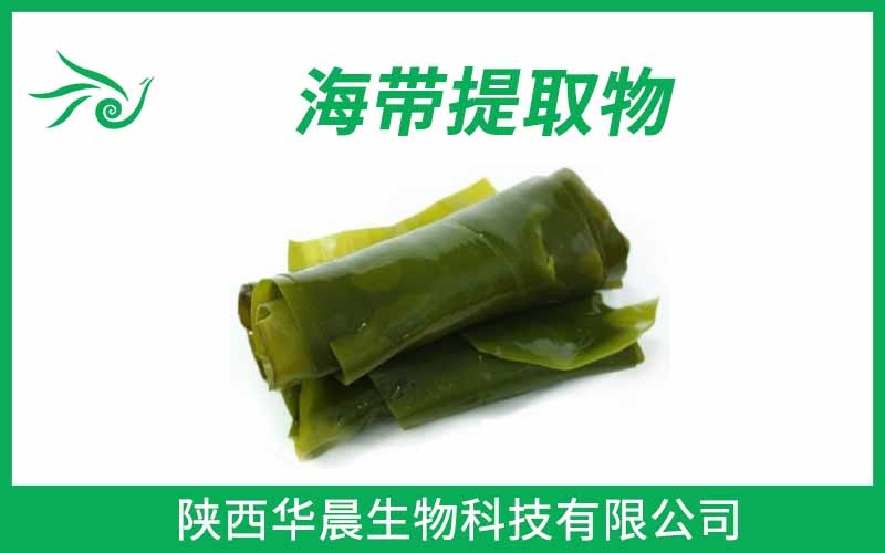 海帶提取物、昆布提取物