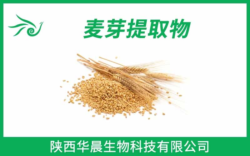 麥芽提取物