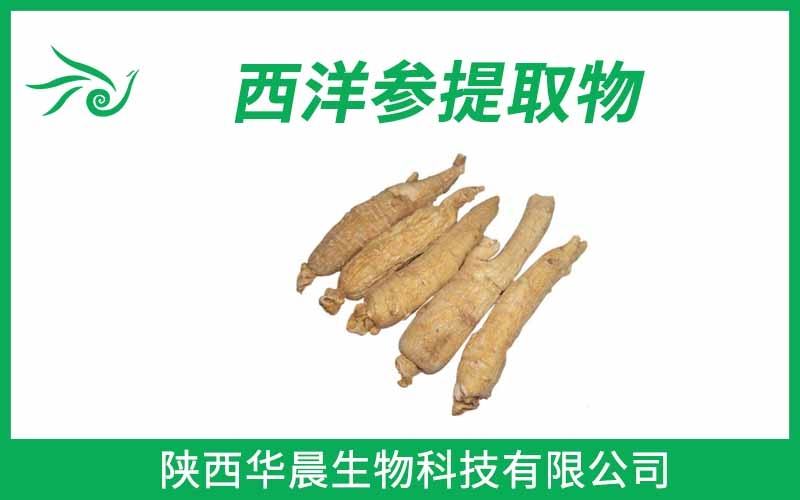 西洋參提取物